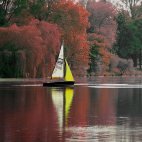 Boat in colours