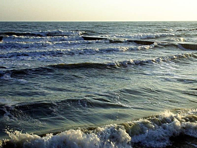 морски гребени