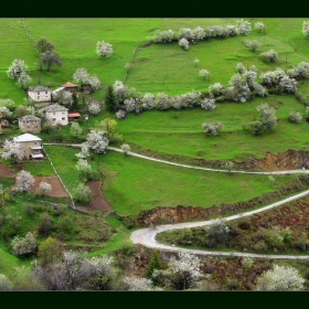 Село Ахрянско ( Родопи )