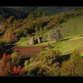 Край село Светулка ( Родопи )