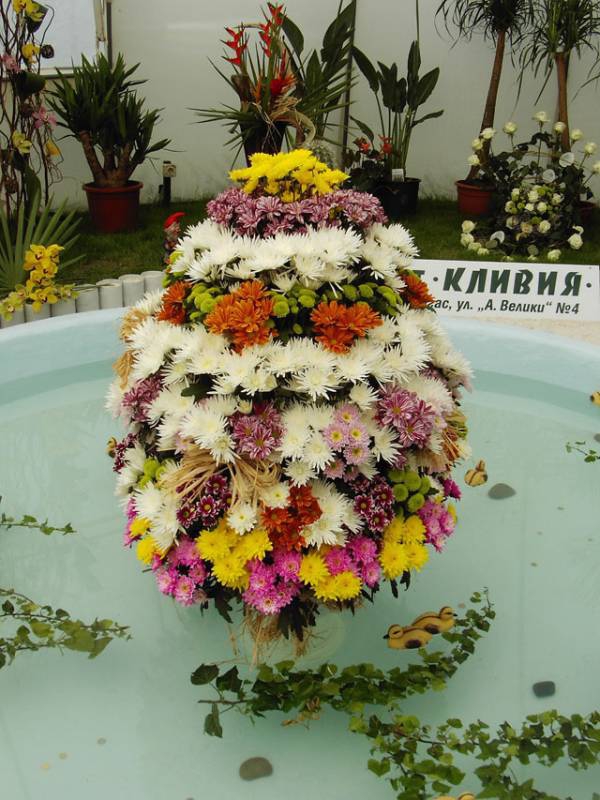 Снимка без име