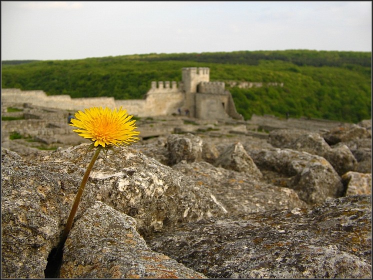 Поглед в историята , ФОТОПЛЕНЕР ШУМЕН