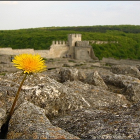 Поглед в историята , ФОТОПЛЕНЕР ШУМЕН