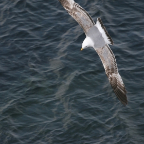 over the Black Sea