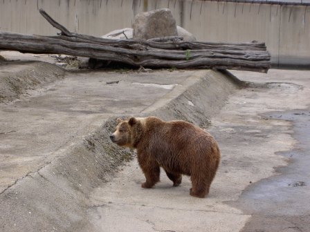 Снимка без име