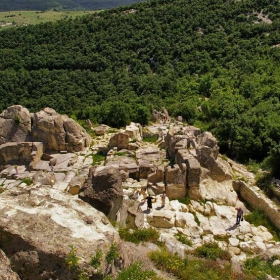 История и Мравки