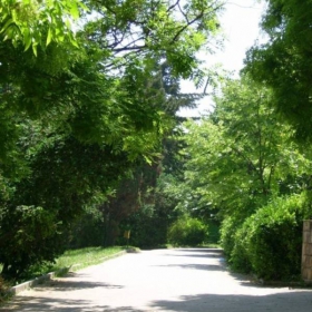 the path