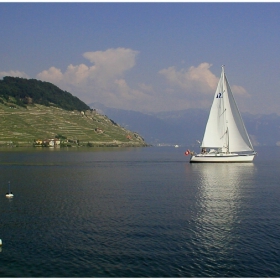 Cully - Switzerland