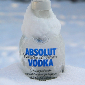 Absolut winter