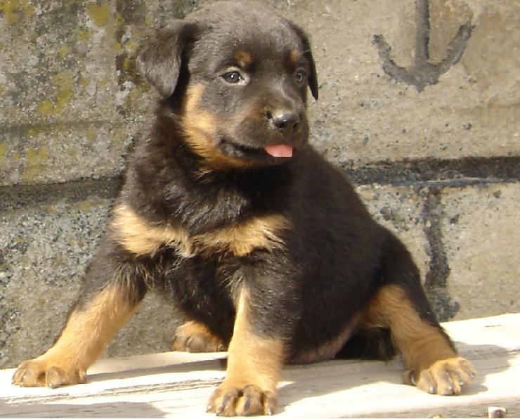 Снимка без име