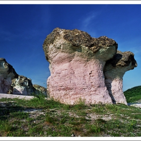 Гъбките край Бели пласт