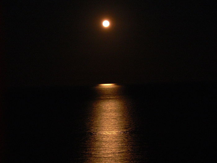 ABSOLUT MOON