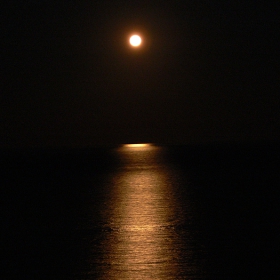 ABSOLUT MOON