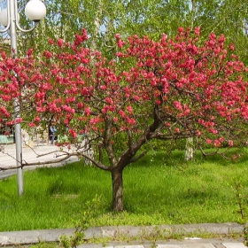 Снимка без име