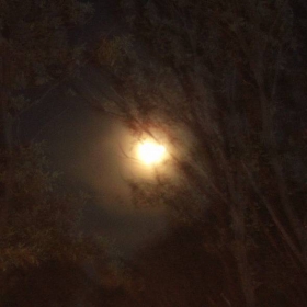 moon