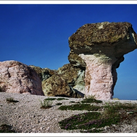 Гъбките край Бели пласт - 2