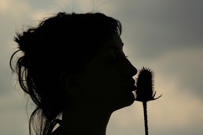 Kiss