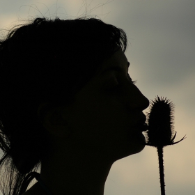 Kiss