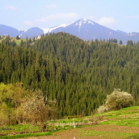 Родопска панорама от с. Солища