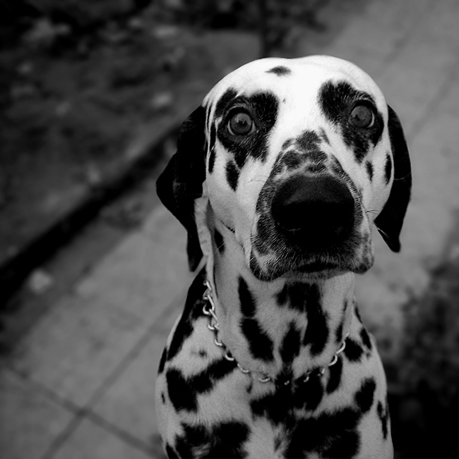 Look at me!