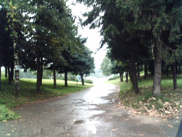 mai sprya
