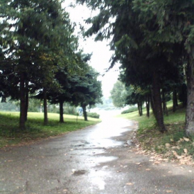 mai sprya