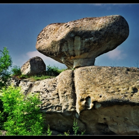 Гъбка каменна в Златоградско