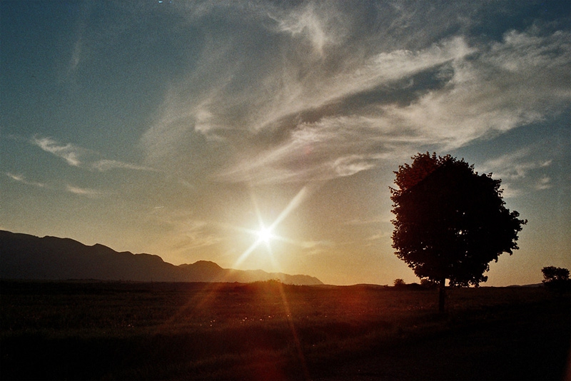 lone at sunset