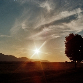 lone at sunset