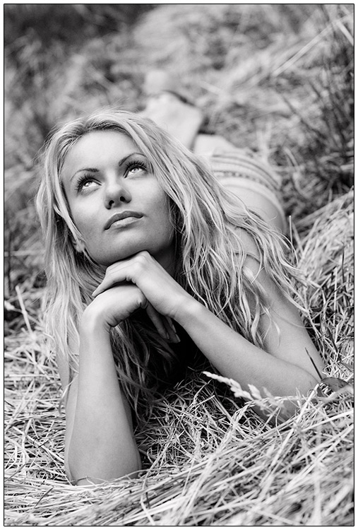 Вики VI BW