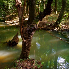 Гора ..... тих  плясък на вода сред слънчевите зайчета