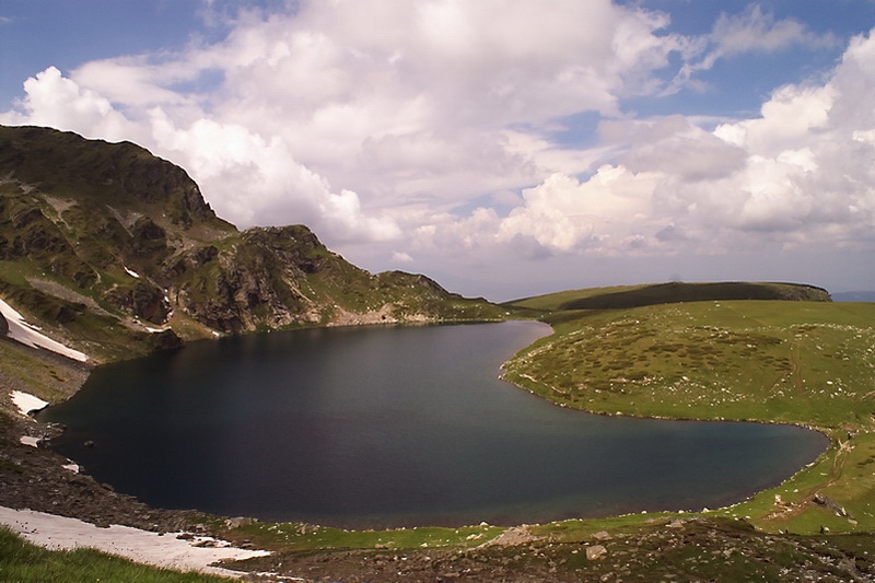 Бъбрека