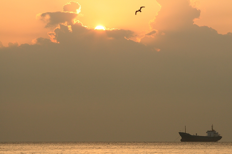 July morning II