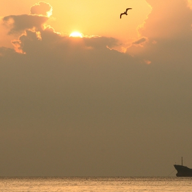 July morning II