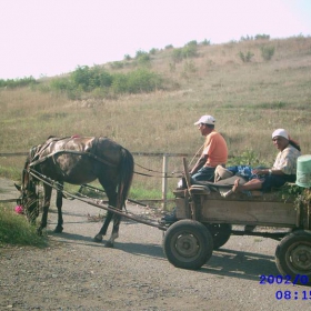 Mili hora s kuche i karuca