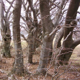 Есен