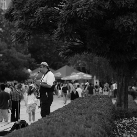 Sights & Sounds of Sofia