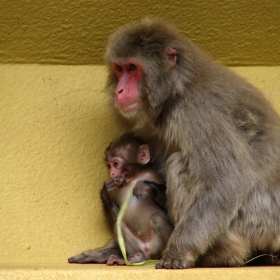 Mother and son