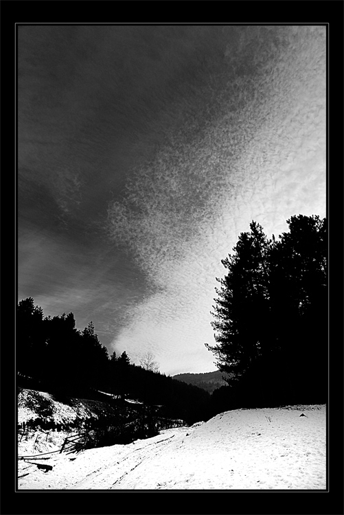 A Winter Memory