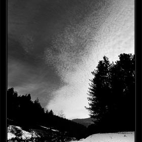 A Winter Memory