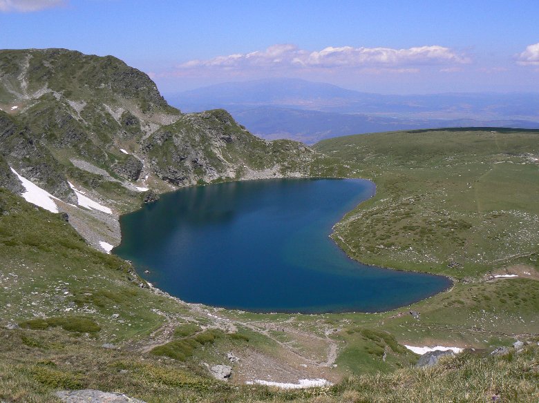 Бъбрека