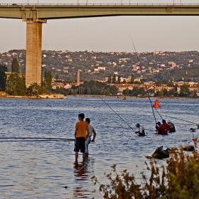 особености на летния морски риблов