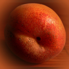 apricot