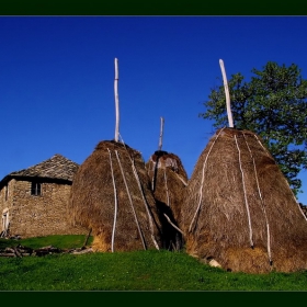 Село Родопско