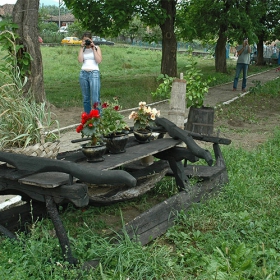 Снимка за двама фотографи и куче :)