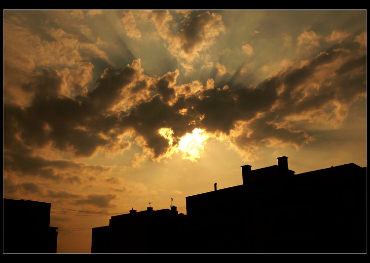 urban life I