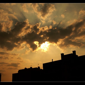 urban life I