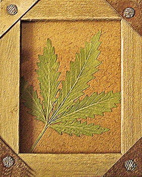 LEGALIZE IT