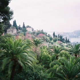 Cote d'Azure