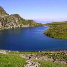 Бъбрека за кой ли път